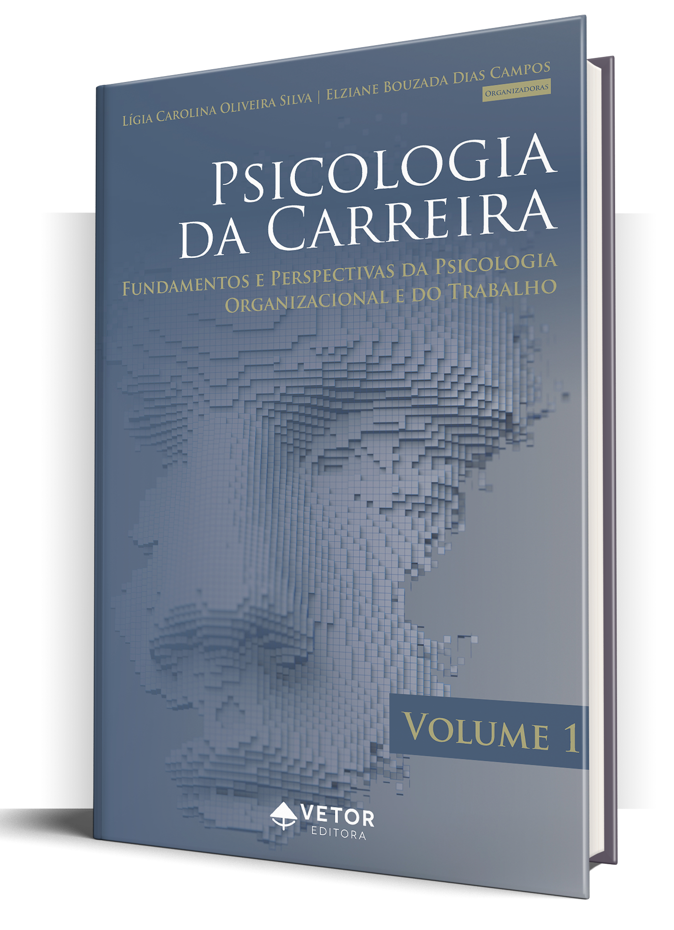 Capa Livro_Psicologia da Carreira Vol.1-3d
