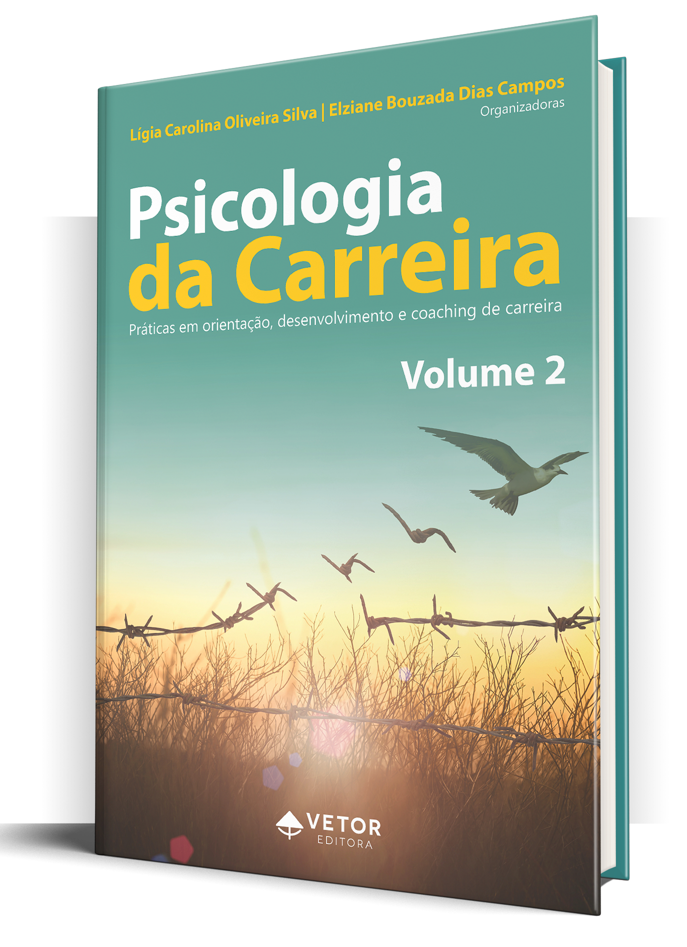 Capa Livro_Psicologia da Carreira Vol.2-3d
